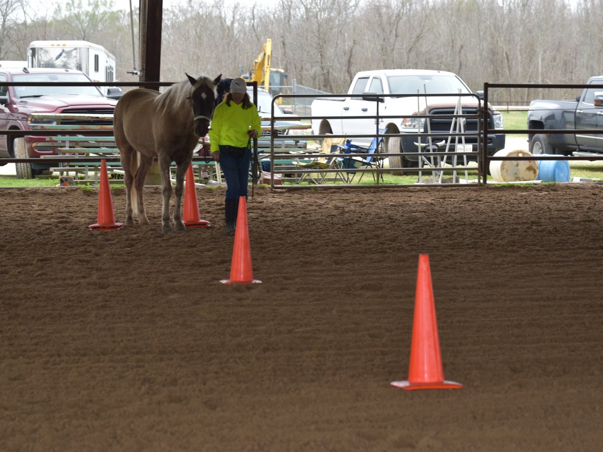 The importance of consciously choosing the spot you need to&nbsp;be.